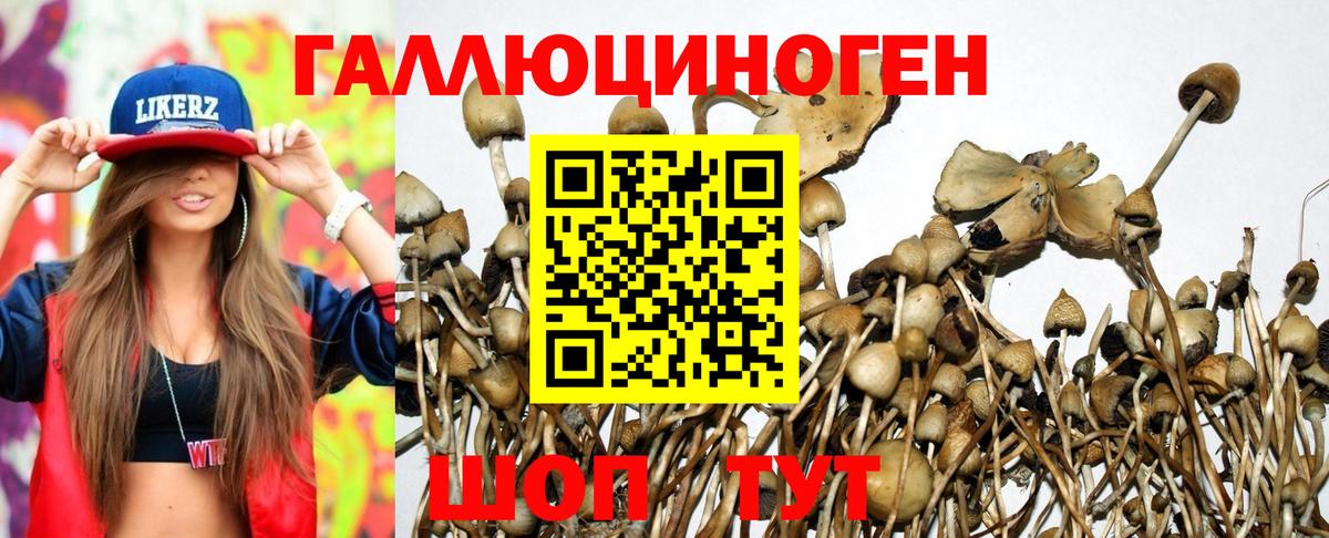 Псилоцибиновые грибы прущие грибы Богородск